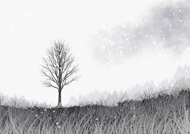 好色先生频道剪辑风格盘点｜风格化剪辑合集节奏快慢自由切换