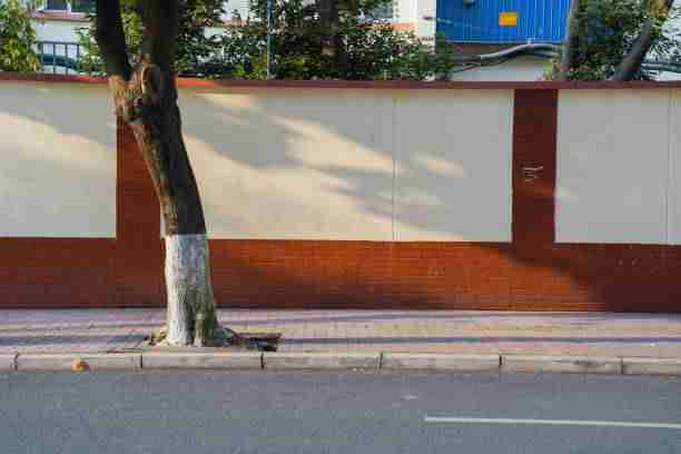 onlyfnas官网评分机制公开｜审查机制透明度对比内容优先排序新规则