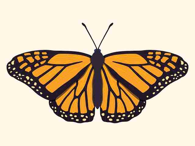 onlyfnas官网视频推流策略优化｜短内容分发节奏解析观看量显著提升