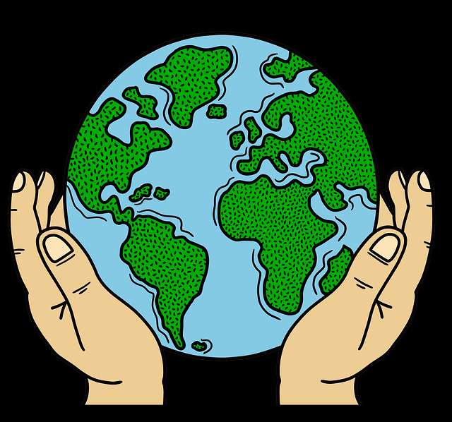 onlyfnas官网专属订阅功能上线｜短内容分发节奏解析聚焦粉丝深运营