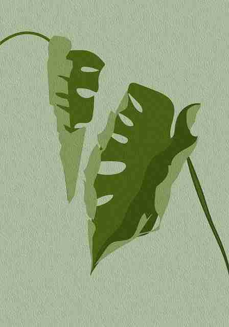 探花应用互动性提升｜首次互动反应用户参与感增强