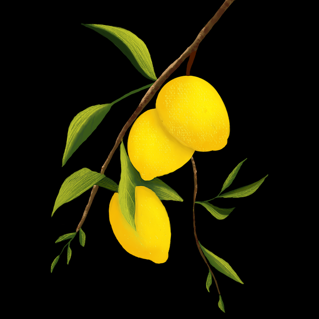 onlyfnas私密内容订阅结构曝光｜流量来源多维度分析受欢迎程度高